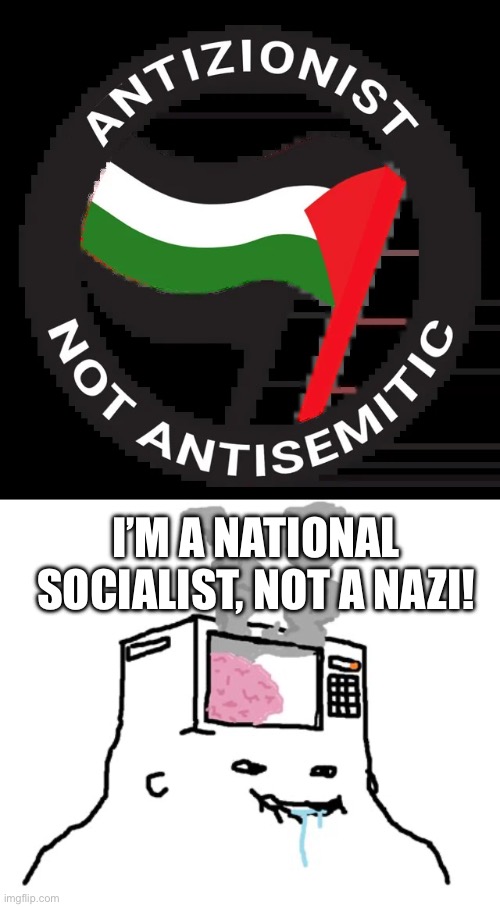 I’M A NATIONAL SOCIALIST, NOT A NAZI! | image tagged in why are you reading the tags | made w/ Imgflip meme maker