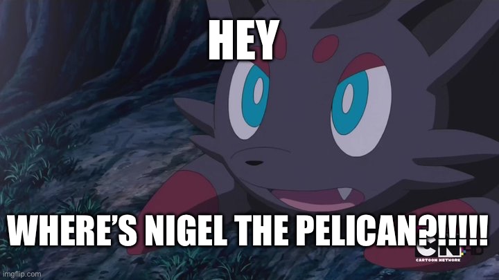 Zorua Wtf | HEY; WHERE’S NIGEL THE PELICAN?!!!!! | image tagged in zorua wtf | made w/ Imgflip meme maker