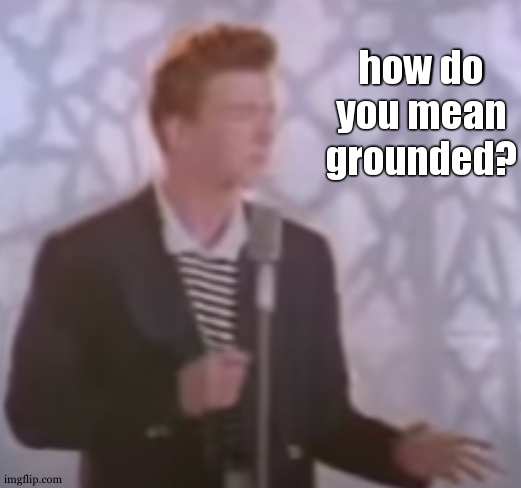 [insert image title] | how do you mean grounded? | image tagged in i'm sorry what rick astley,never gonna give you up | made w/ Imgflip meme maker
