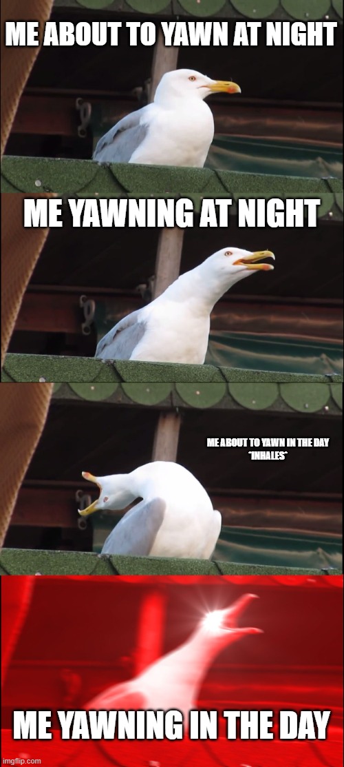 me when a yawn | ME ABOUT TO YAWN AT NIGHT; ME YAWNING AT NIGHT; ME ABOUT TO YAWN IN THE DAY

*INHALES*; ME YAWNING IN THE DAY | image tagged in memes,inhaling seagull | made w/ Imgflip meme maker