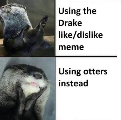 Otter Hotline Bling Blank Meme Template