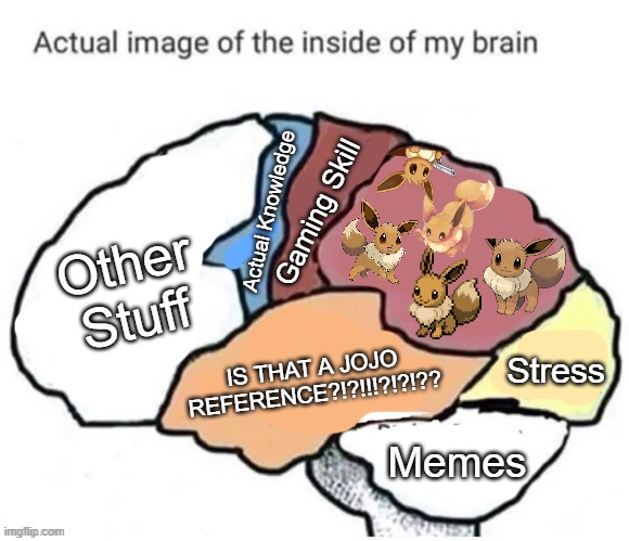 Me fr | Gaming Skill; Actual Knowledge; Other Stuff; IS THAT A JOJO REFERENCE?!?!!!?!?!?? Stress; Memes | image tagged in actual image of the inside of my brain | made w/ Imgflip meme maker