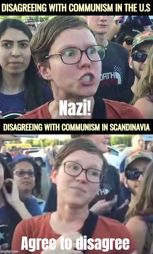 Just Liberals thinking they're still Liberal. America is an ignorant place... | DISAGREEING WITH COMMUNISM IN THE U.S; Nazi! DISAGREEING WITH COMMUNISM IN SCANDINAVIA; Agree to disagree | image tagged in triggered liberal,american politics,identity politics,scandinavia | made w/ Imgflip meme maker