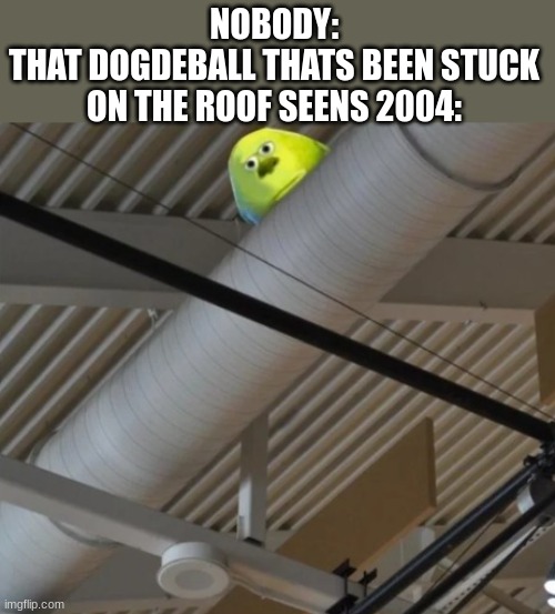 idk | NOBODY:
THAT DOGDEBALL THATS BEEN STUCK ON THE ROOF SEENS 2004: | image tagged in idk | made w/ Imgflip meme maker