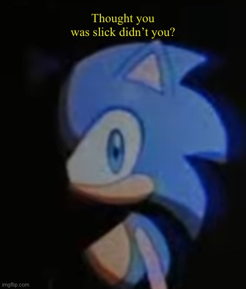 Sonic Side Eye | Thought you was slick didn’t you? | image tagged in sonic side eye | made w/ Imgflip meme maker