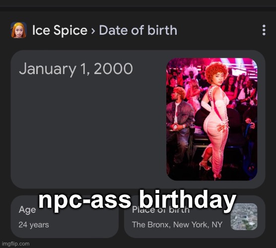 plus she like just randomly got famous without ever appearing beforehand | npc-ass birthday | made w/ Imgflip meme maker