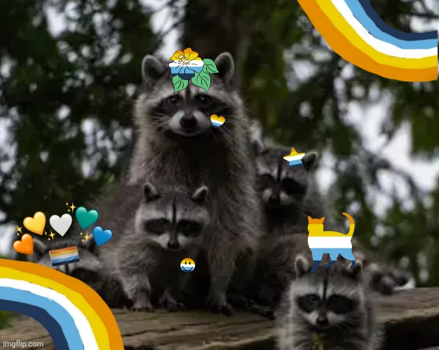 Aroace racoons | image tagged in racoon | made w/ Imgflip meme maker
