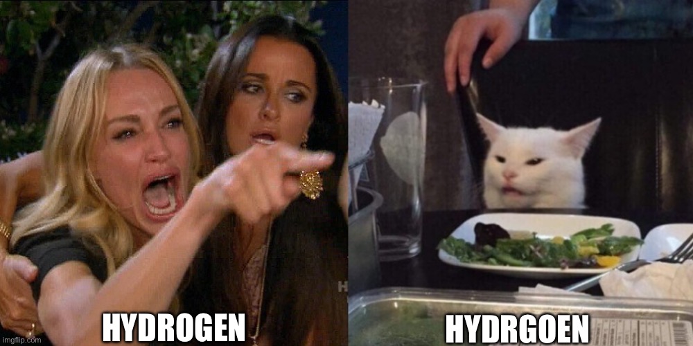 Woman yelling at cat | HYDROGEN HYDRGOEN | image tagged in woman yelling at cat | made w/ Imgflip meme maker