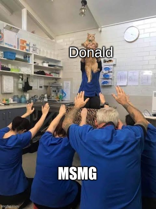 all hail donald | Donald; MSMG | image tagged in people worshipping the cat | made w/ Imgflip meme maker