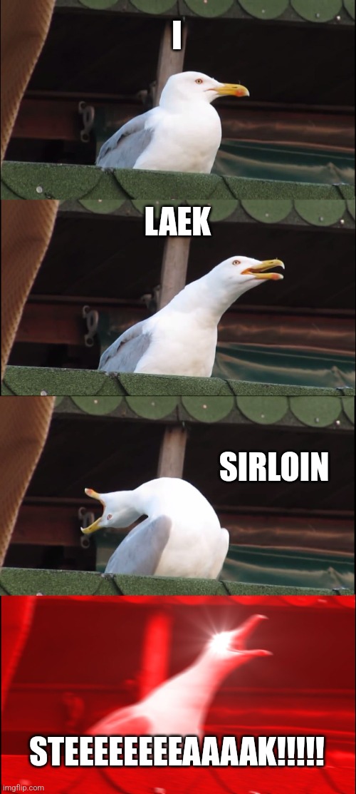 Sirloin steak!!!! | I; LAEK; SIRLOIN; STEEEEEEEEAAAAK!!!!! | image tagged in memes,inhaling seagull,food memes | made w/ Imgflip meme maker