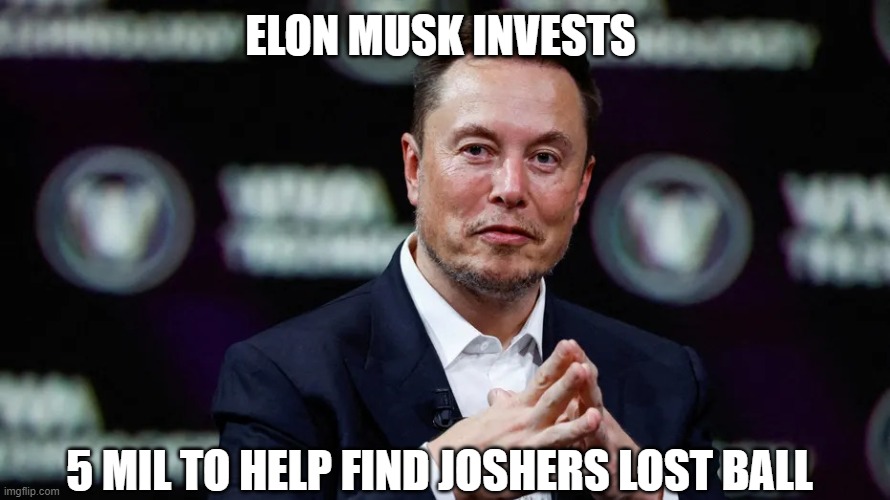 Elon Musk | ELON MUSK INVESTS; 5 MIL TO HELP FIND JOSHERS LOST BALL | image tagged in elon musk | made w/ Imgflip meme maker