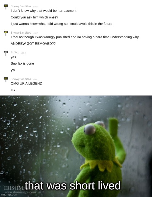 that was short lived | image tagged in kermit window | made w/ Imgflip meme maker