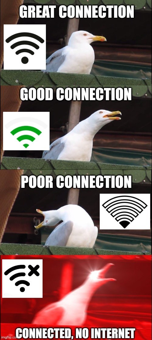 Why is this so relatable ? | GREAT CONNECTION; GOOD CONNECTION; POOR CONNECTION; CONNECTED, NO INTERNET | image tagged in memes,inhaling seagull,wifi | made w/ Imgflip meme maker