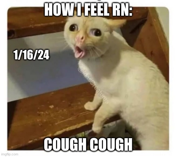Coughing Cat | HOW I FEEL RN:; 1/16/24; COUGH COUGH | image tagged in coughing cat | made w/ Imgflip meme maker