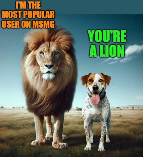 you're a lion | I'M THE MOST POPULAR USER ON MSMG; YOU'RE A LION | image tagged in lion,kewlew | made w/ Imgflip meme maker