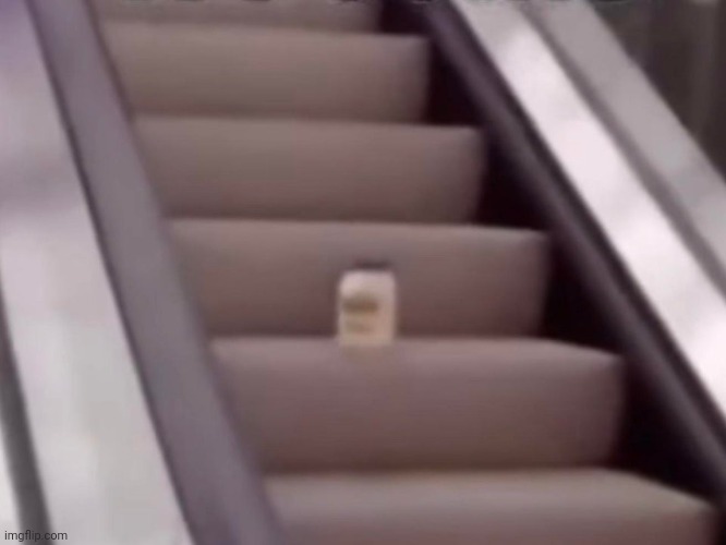 Mayonnaise On An Escalator | image tagged in mayonnaise on an escalator | made w/ Imgflip meme maker