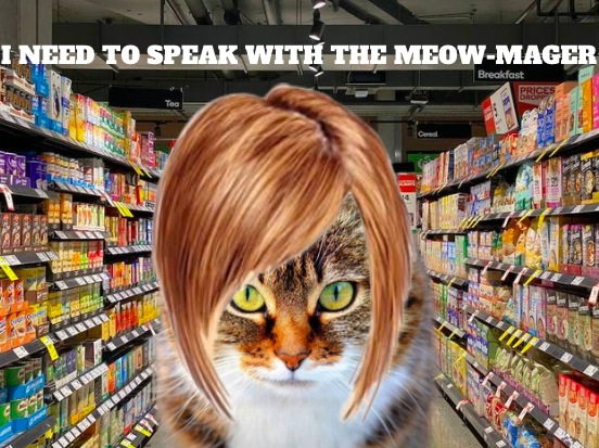 cat karen Blank Meme Template