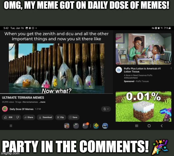Omg! Yes, this is my meme btw | OMG, MY MEME GOT ON DAILY DOSE OF MEMES! PARTY IN THE COMMENTS! 🎉 | image tagged in daily dose of memes,terraria,memes,how to handle fame | made w/ Imgflip meme maker