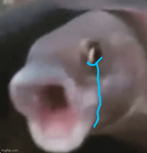 High Quality Crying poggers fish Blank Meme Template