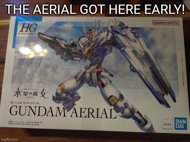 Hopefully the darilbalde will get here tomorrow | THE AERIAL GOT HERE EARLY! | made w/ Imgflip meme maker