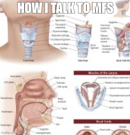 HOW I TALK TO MFS | made w/ Imgflip meme maker