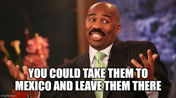 Steve Harvey Meme | YOU COULD TAKE THEM TO MEXICO AND LEAVE THEM THERE | image tagged in memes,steve harvey | made w/ Imgflip meme maker