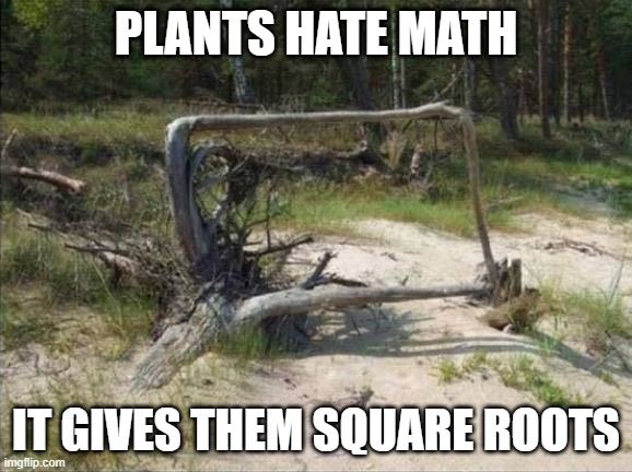 Square Root | PLANTS HATE MATH; IT GIVES THEM SQUARE ROOTS | image tagged in square root | made w/ Imgflip meme maker