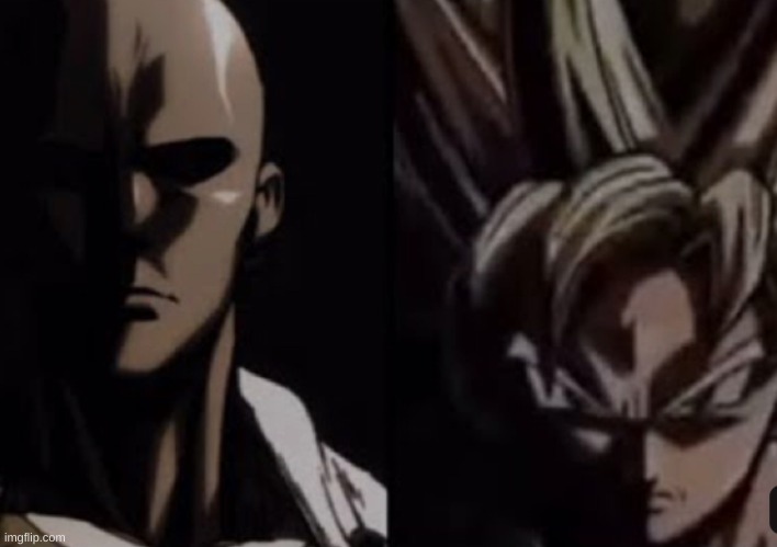 Goku and Saitama | image tagged in goku and saitama | made w/ Imgflip meme maker