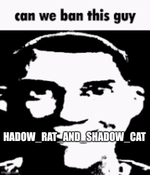 Reason: spam | HADOW_RAT_AND_SHADOW_CAT | image tagged in can we ban this guy,memes,funny | made w/ Imgflip meme maker