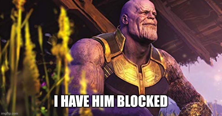 I have for a while | I HAVE HIM BLOCKED | image tagged in thanos sitting infinity war | made w/ Imgflip meme maker