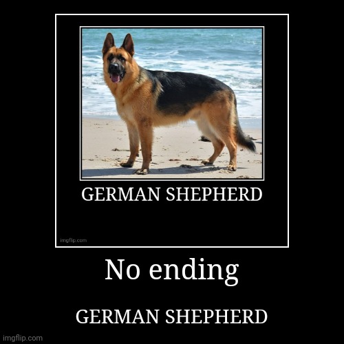 Yes | No ending | GERMAN SHEPHERD | image tagged in funny,demotivationals | made w/ Imgflip demotivational maker