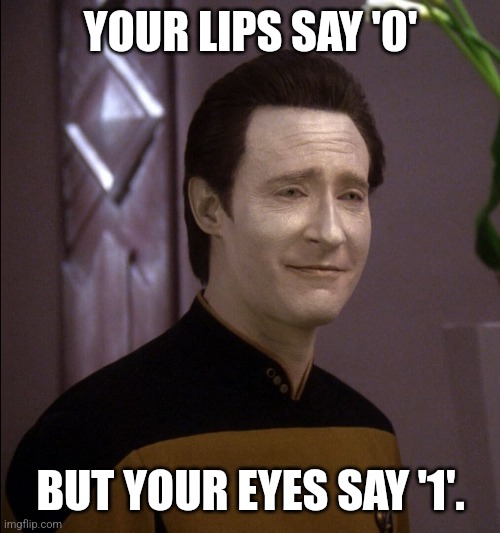 Flirting Data | YOUR LIPS SAY '0'; BUT YOUR EYES SAY '1'. | image tagged in star trek data | made w/ Imgflip meme maker
