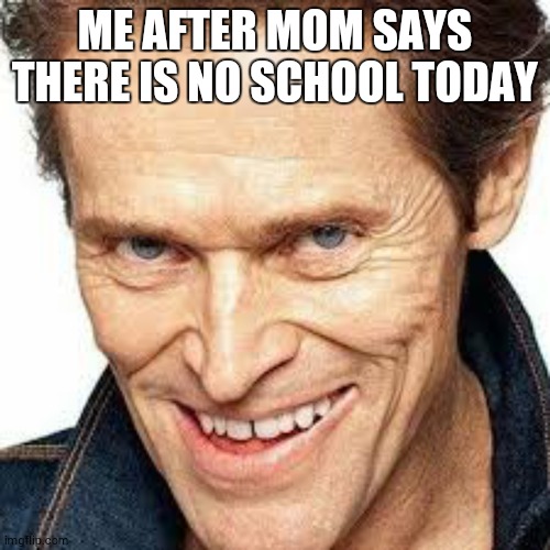 No school | ME AFTER MOM SAYS THERE IS NO SCHOOL TODAY | image tagged in green goblin,memes | made w/ Imgflip meme maker
