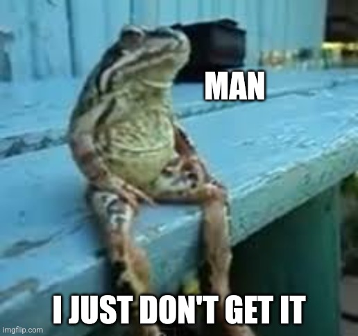 Frog Sit | MAN; I JUST DON'T GET IT | image tagged in frog sit | made w/ Imgflip meme maker
