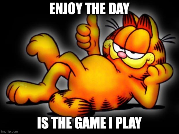 garfield thumbs up | ENJOY THE DAY; IS THE GAME I PLAY | image tagged in garfield thumbs up | made w/ Imgflip meme maker