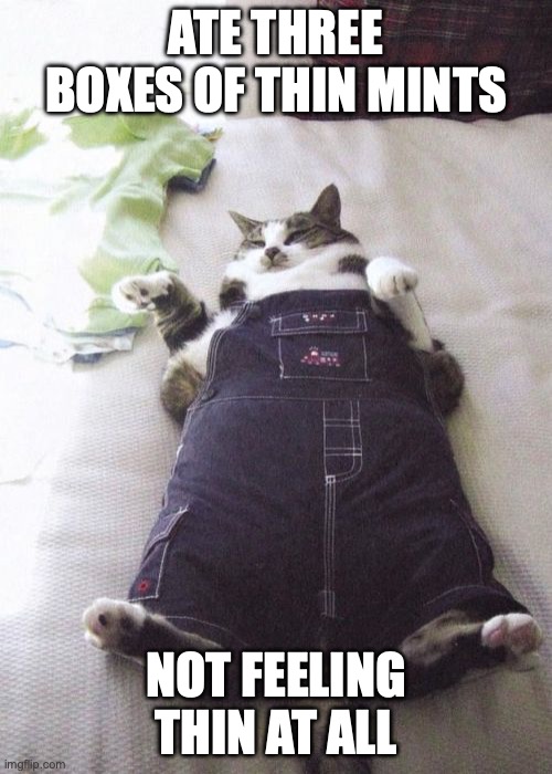 Fat Cat | ATE THREE BOXES OF THIN MINTS; NOT FEELING THIN AT ALL | image tagged in memes,fat cat | made w/ Imgflip meme maker