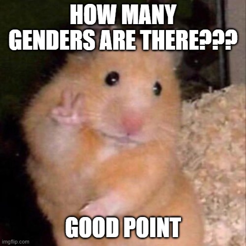 There are only 2 genders. | HOW MANY GENDERS ARE THERE??? GOOD POINT | image tagged in hamster peace sign,2 genders,funny,meme,lol | made w/ Imgflip meme maker