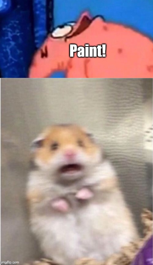 Paint! | image tagged in patrick looking up,scared hamster | made w/ Imgflip meme maker