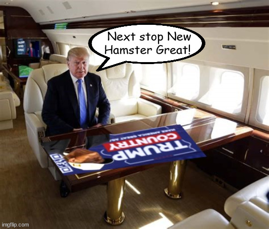 Time for a new hamster. | Next stop New Hamster Great! | image tagged in new hampshire,trump,maga,scarafice your life for trump,dementia,alzheimer's | made w/ Imgflip meme maker