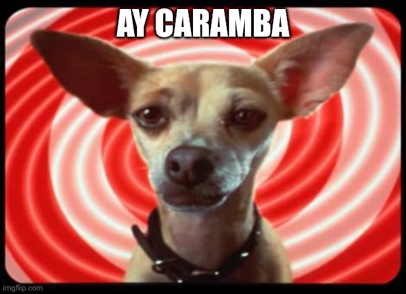 taco bell dog | AY CARAMBA | image tagged in taco bell dog | made w/ Imgflip meme maker