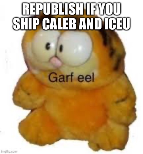 REPUBLISH IF YOU SHIP CALEB AND ICEU | image tagged in dew it | made w/ Imgflip meme maker