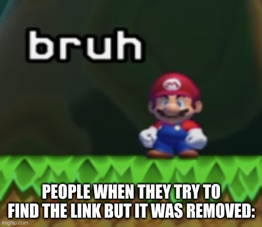 Mario Bruh | PEOPLE WHEN THEY TRY TO FIND THE LINK BUT IT WAS REMOVED: | image tagged in mario bruh | made w/ Imgflip meme maker
