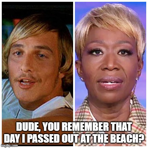 Twinsies | DUDE, YOU REMEMBER THAT DAY I PASSED OUT AT THE BEACH? | image tagged in ugly twins,twins,dumb blonde,blondes,msnbc,joy | made w/ Imgflip meme maker