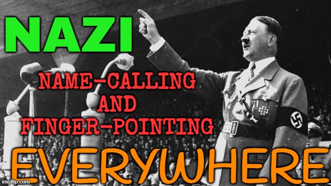 Nazi name-calling everywhere | NAZI; NAME-CALLING
AND
FINGER-POINTING; EVERYWHERE | image tagged in hitler pointing finger,nazis,nazi,turkey,israel,palestine | made w/ Imgflip meme maker
