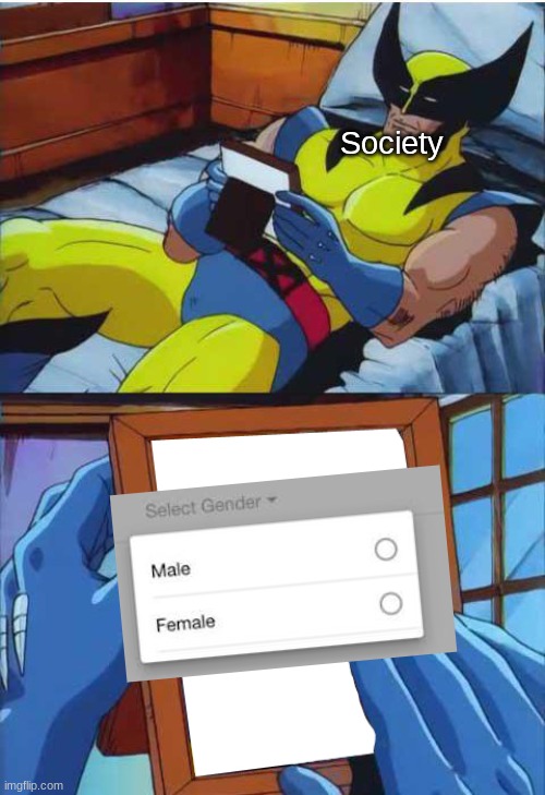 Only 90's kids will remember this | Society | image tagged in wolverine remember,gender | made w/ Imgflip meme maker