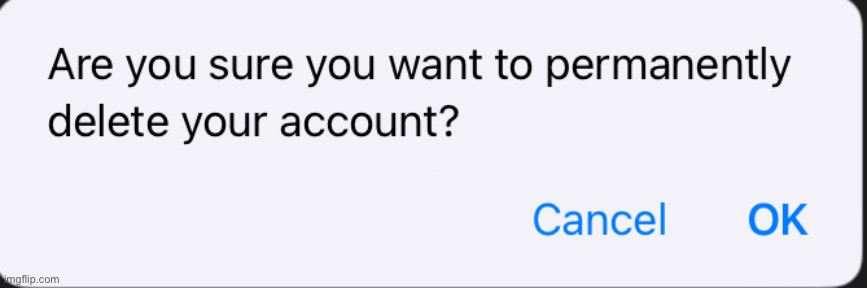 Are you sure you want to permanently delete your account Blank Meme Template