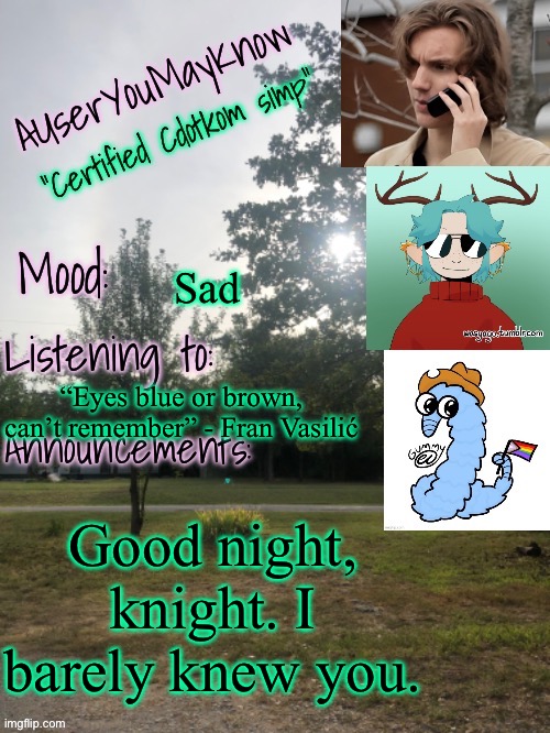 Rip | Sad; “Eyes blue or brown, can’t remember” - Fran Vasilić; Good night, knight. I barely knew you. | image tagged in auymk template reworked | made w/ Imgflip meme maker