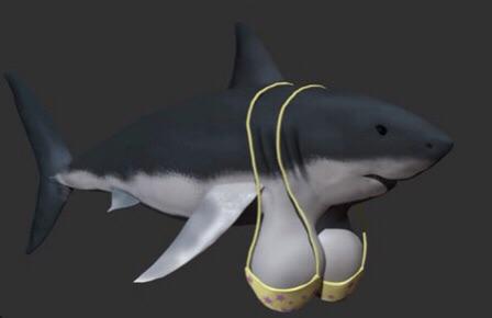 tit shark Blank Meme Template