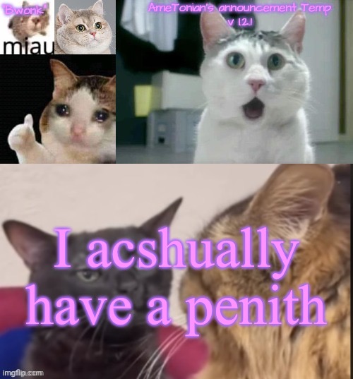 TL;DR | I acshually have a penith | image tagged in ametonian's announcement temp v 1 2 1 | made w/ Imgflip meme maker