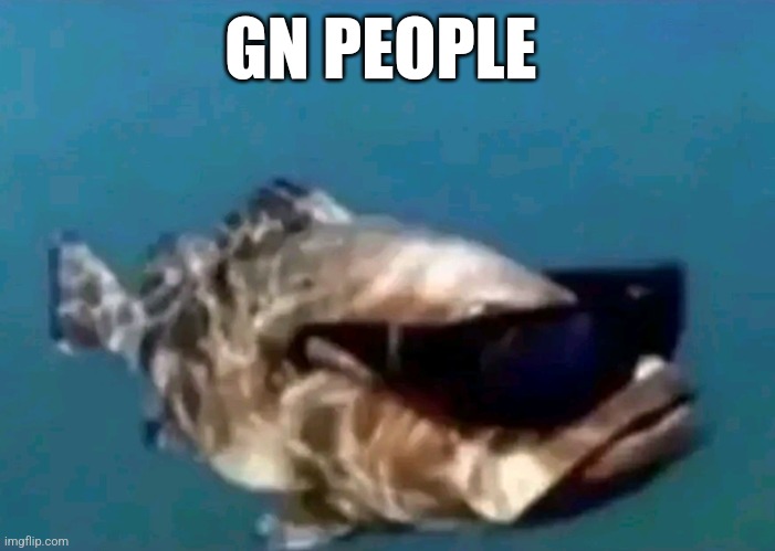 Hi | GN PEOPLE | image tagged in hi | made w/ Imgflip meme maker